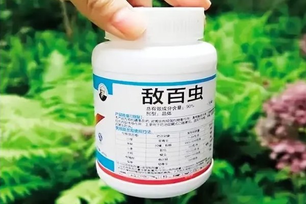 西葫芦怕什么农药，最怕敌百虫、杀螟腈等农药