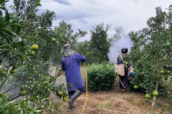 烯唑醇如何使用，针对不同病害的防治方法不同
