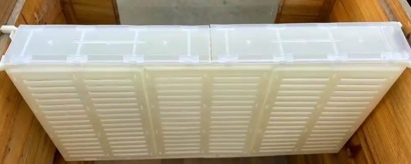 中蜂隔王板能不能挡住意蜂工蜂，能一定程度上挡住意蜂