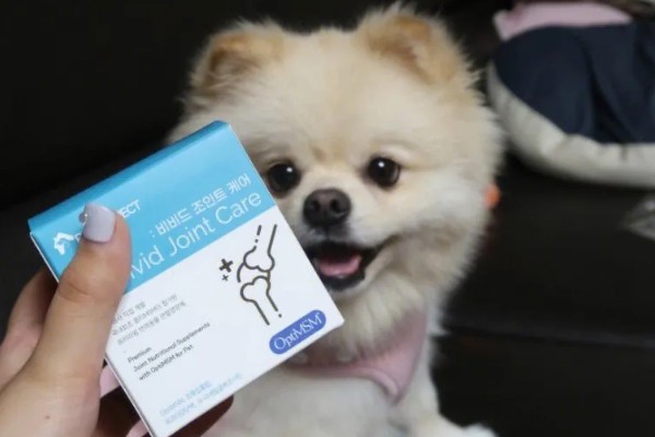 狗狗贫血怎么给它补血，可饲喂富含蛋白质和维生素的食物