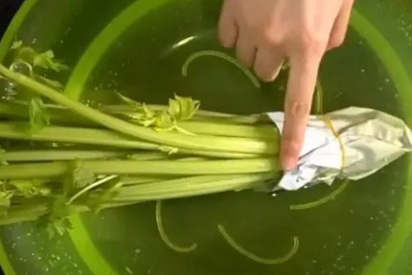 芹菜如何保存,密封后放入冰箱冷藏即可