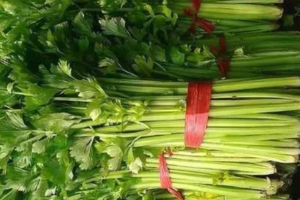 芹菜如何保存,密封后放入冰箱冷藏即可