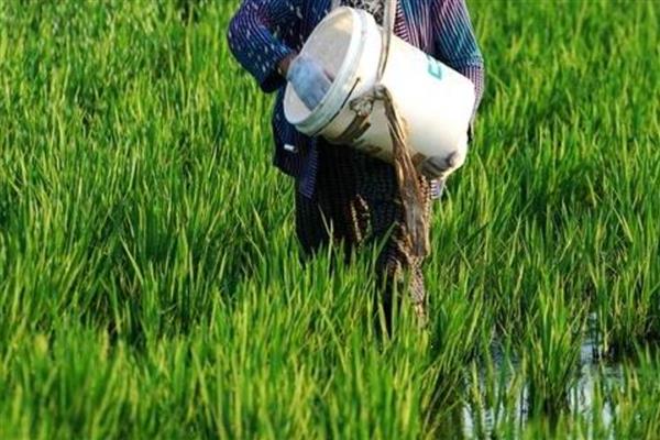 土壤化肥科学选择，不同作物对不同肥料的反应不同