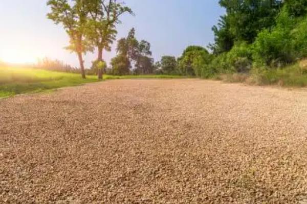 火龙果的种植技术,定植可以选在5月左右进行