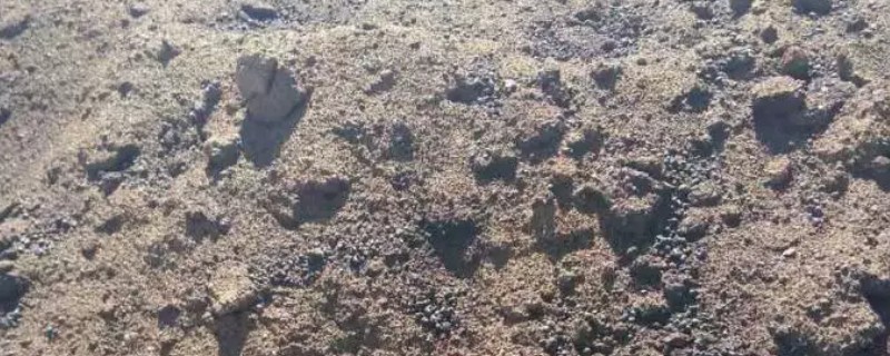 冷性肥料和热性肥料的简介，热性肥料在堆放期间会产生50℃以上的高温