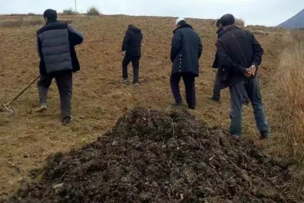 通草简介,根据炮制方式分为通草、朱砂制通草等