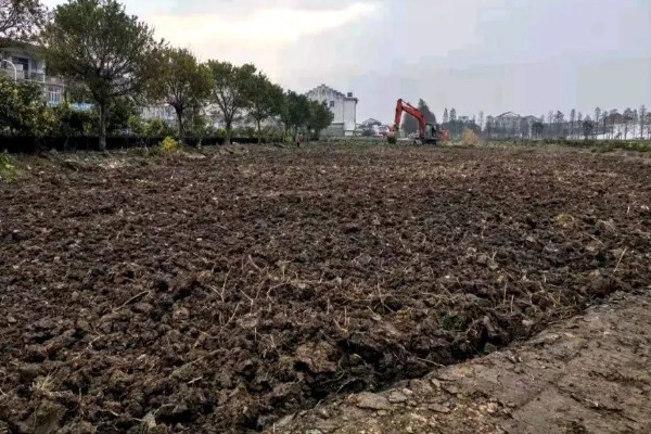 通草简介,根据炮制方式分为通草、朱砂制通草等