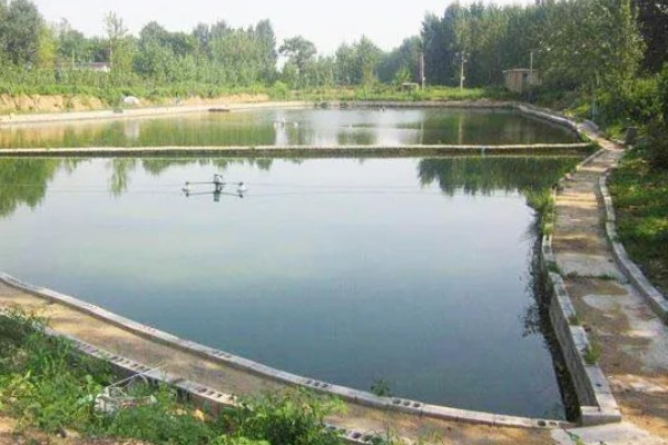 无土养殖泥鳅怎么建池，把进水口设置在池塘上方