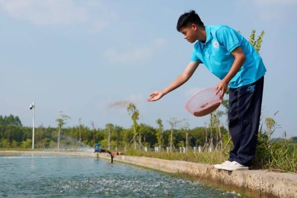 无土养殖泥鳅怎么建池，把进水口设置在池塘上方