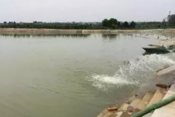 无土养殖泥鳅怎么建池，把进水口设置在池塘上方