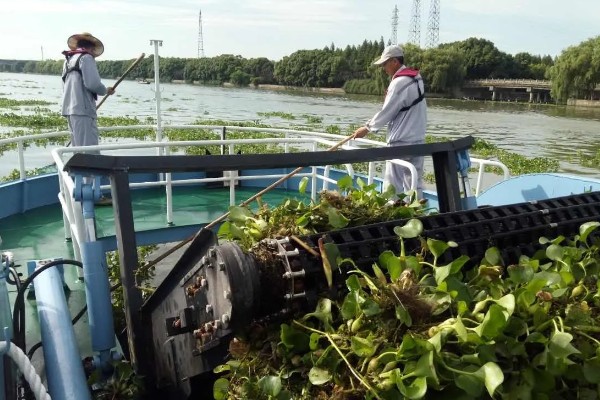 无土养殖泥鳅怎么建池，把进水口设置在池塘上方