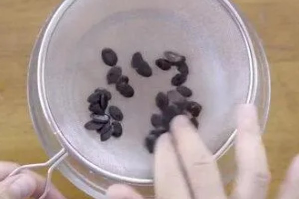 丝瓜种子如何催芽，先在温水中浸泡种子4小时左右