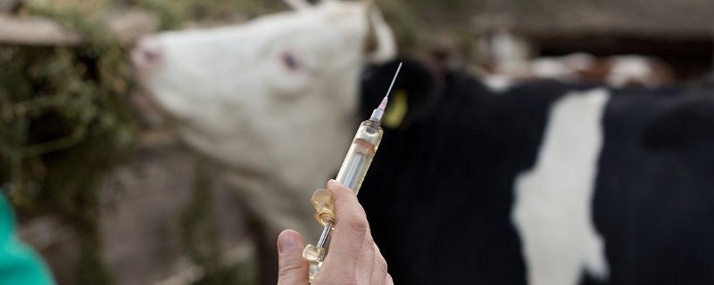 牛打针要用多大的针头，通常选用1ml注射器