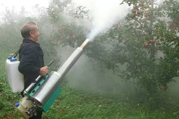 苹果如何施用硫酸亚铁，分为叶面施加、土壤施加