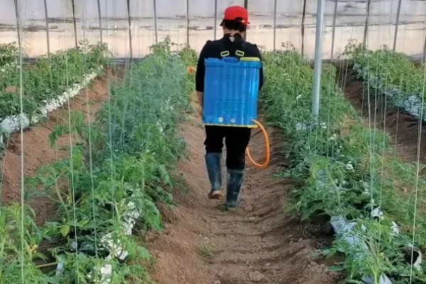 敌草胺与乙草胺的区别，物理性质和作用机理均不同