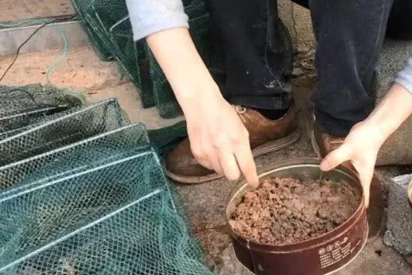 地笼抓河虾放深水还是浅水好，可以将地笼放在浅水中