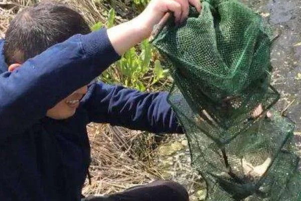 地笼抓河虾放深水还是浅水好，可以将地笼放在浅水中