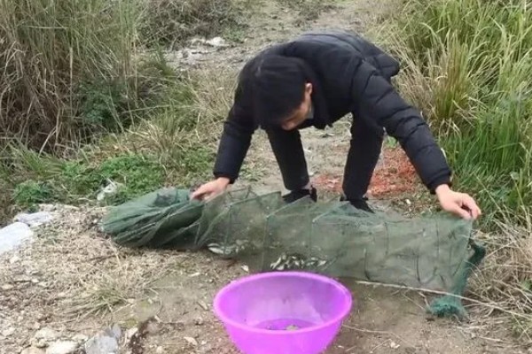 地笼抓河虾放深水还是浅水好，可以将地笼放在浅水中