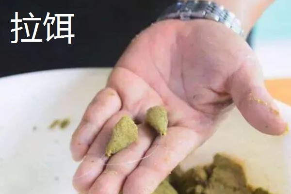 轻麸和雪花粉哪个更好用，浮钓鲢鳙时一般都用轻麸