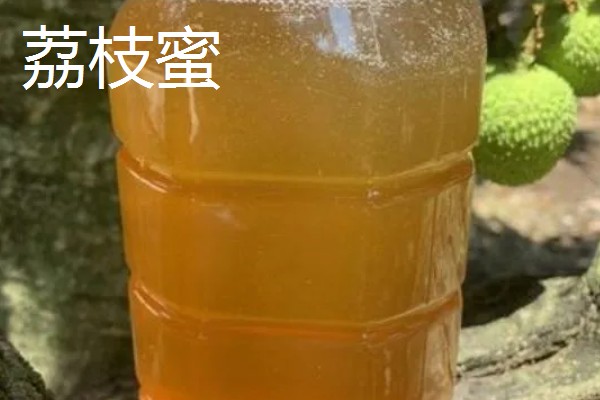 鸭脚木蜜和百花蜜对比，前者的色泽和口感更好