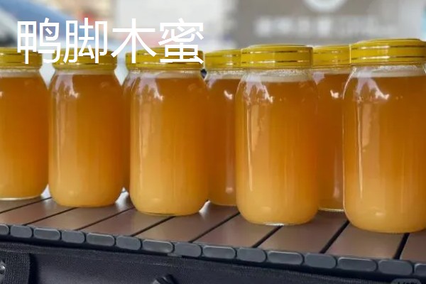 鸭脚木蜜和百花蜜对比，前者的色泽和口感更好