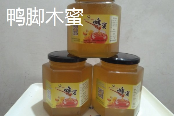 鸭脚木蜜和百花蜜对比，前者的色泽和口感更好