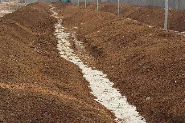 西红柿什么时候育苗，因地区、茬次等条件而异