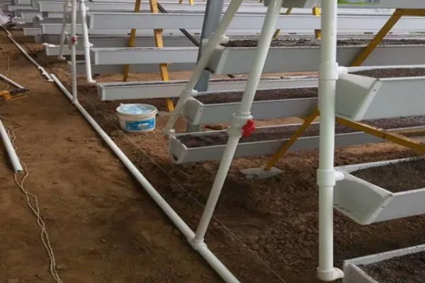 草莓无土种植技术，追肥可以使用发酵后的鸡粪