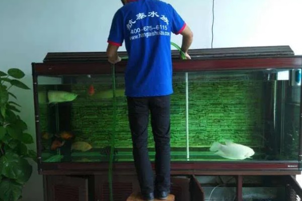 为什么换水后鱼容易死，可能是水中没有除氯