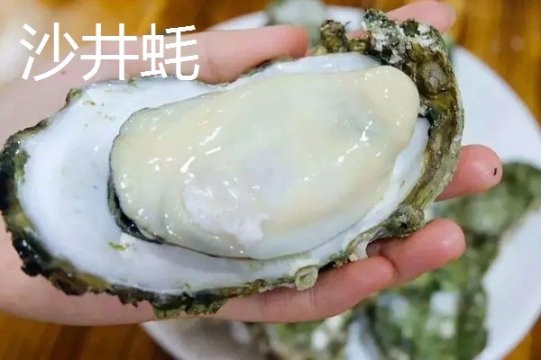 生蚝的产地，主要产区在山东、福建等地