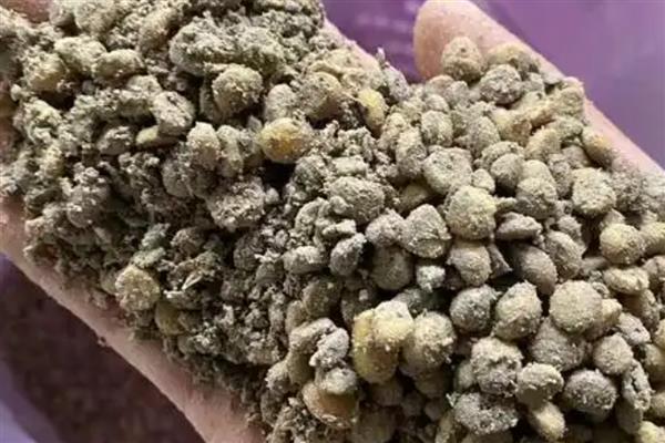 氨基酸叶面肥的优缺点，可促进植物的光合作用