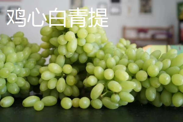 青提的种植方式,栽种后需要定期为植株松土