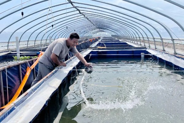 水蛭苗在哪里买,可以在当地的养殖基地购买