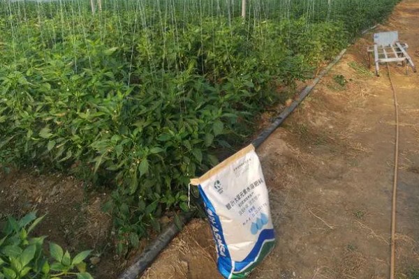 尖椒施肥用哪种肥料，可使用氮磷钾肥