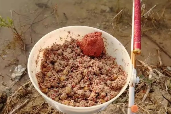 钓鲤鱼用什么饵料，推荐自然饵、商品饵等