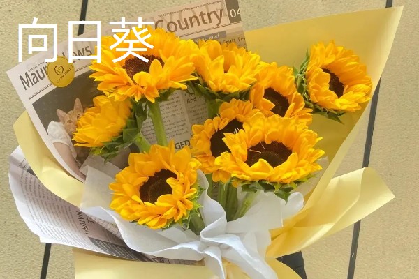 跟女朋友第一次见面送什么花，可选择红玫瑰、百合花等