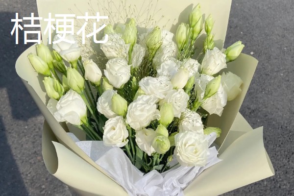 跟女朋友第一次见面送什么花，可选择红玫瑰、百合花等