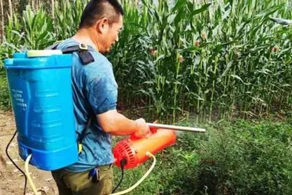 有哪些玉米田苗后除草剂，常见的有烟嘧磺隆、硝磺草酮等