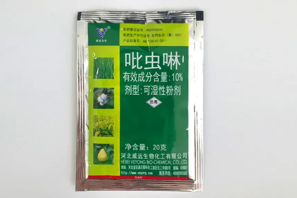 月季花的栽培管理方法，在生长季节要保证充足的阳光