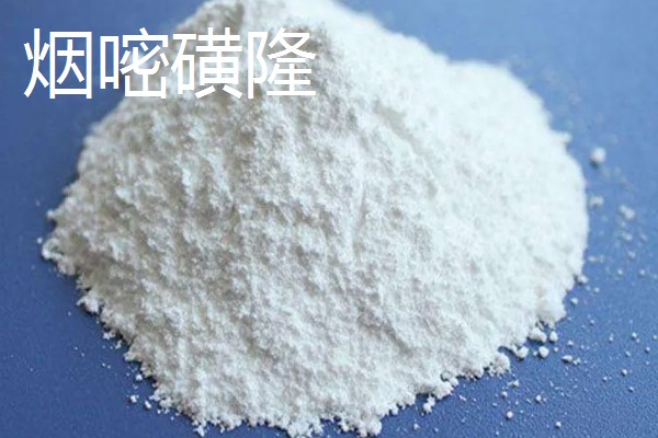 有哪些玉米田苗后除草剂，常见的有烟嘧磺隆、硝磺草酮等
