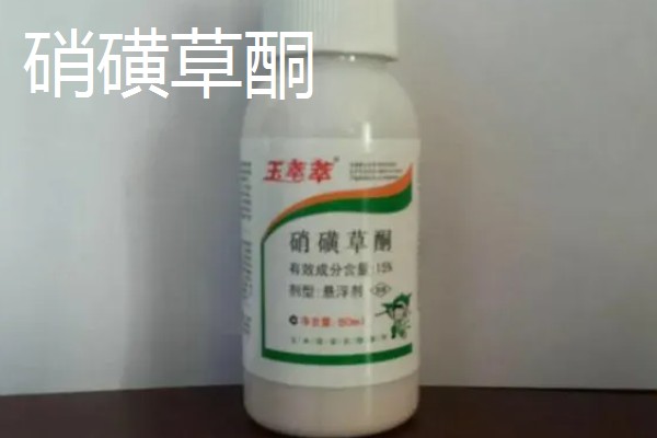 有哪些玉米田苗后除草剂，常见的有烟嘧磺隆、硝磺草酮等