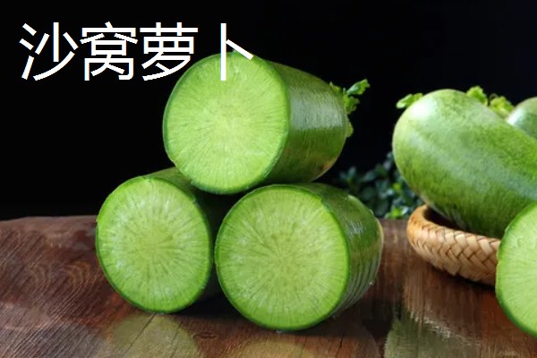 水果萝卜的种植时间，露地种植在3月中下旬至4月下旬