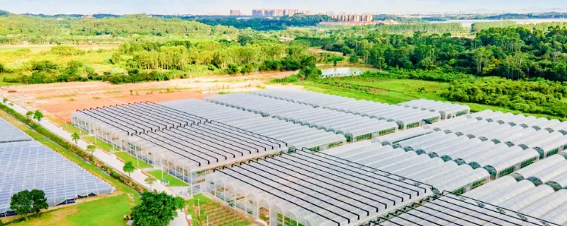都市农业有哪些特点，具有高度集约化的经营方法