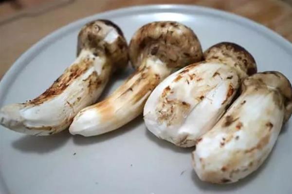 松茸的市场价格，干松茸价格在1000元一斤