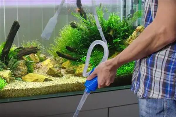 鱼缸里的水怎么抽出来,可以用专门的水泵