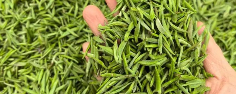 贵州名茶，有都匀毛尖、湄潭翠芽等