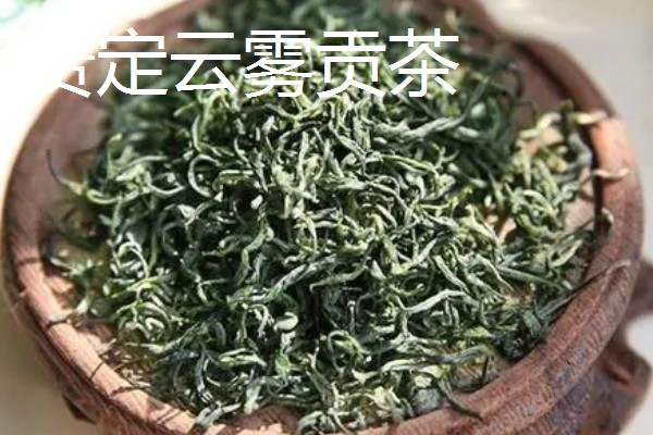 贵州名茶，有都匀毛尖、湄潭翠芽等