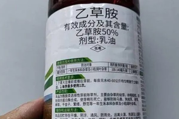 花生发芽了怎么种，种植时深度在4-5厘米