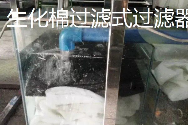 养鱼的过滤方法，可物理过滤或植物过滤等