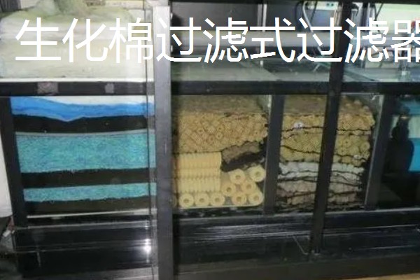 养鱼的过滤方法，可物理过滤或植物过滤等